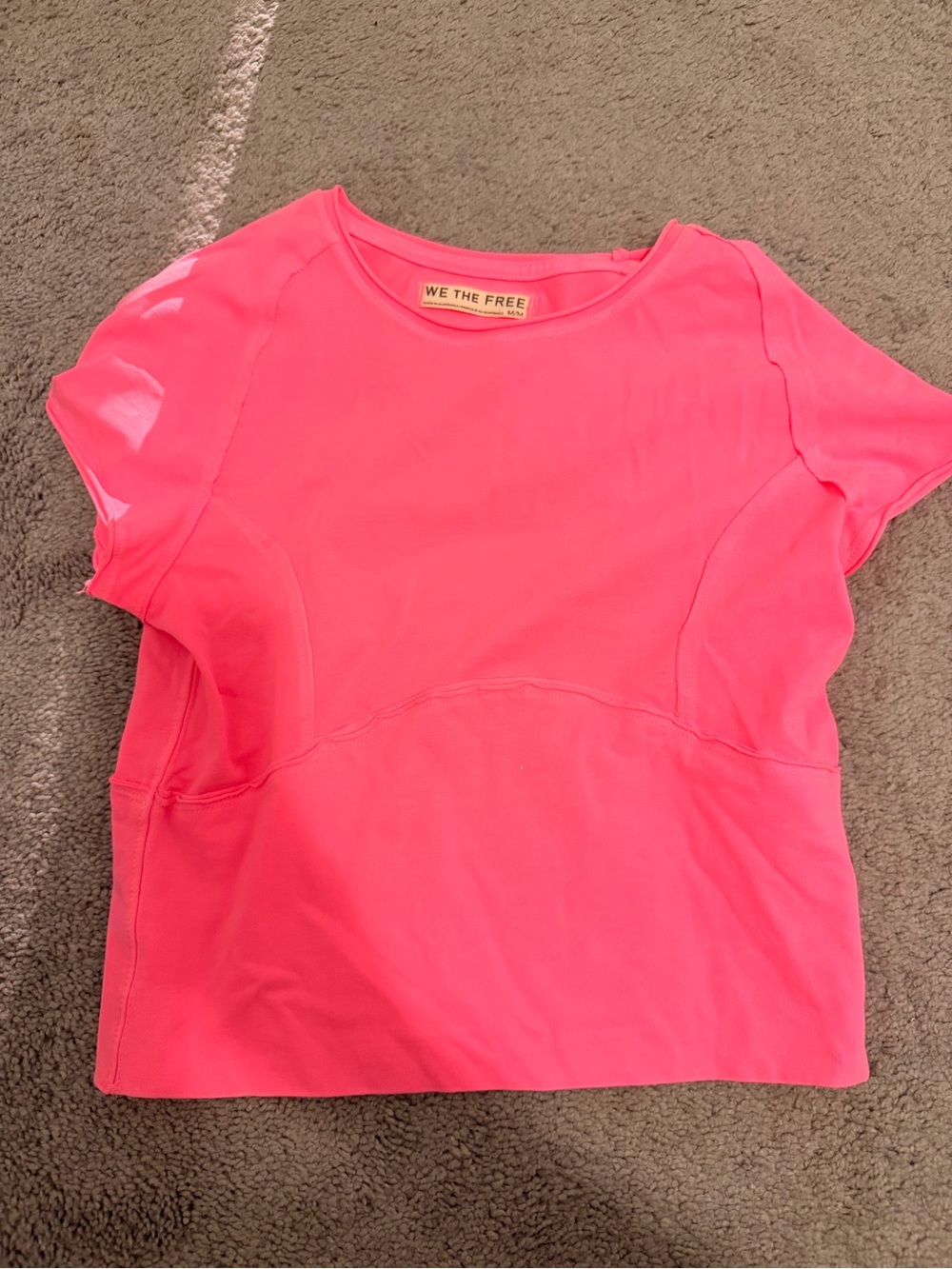 We The Free Protagonist Cropped Tee